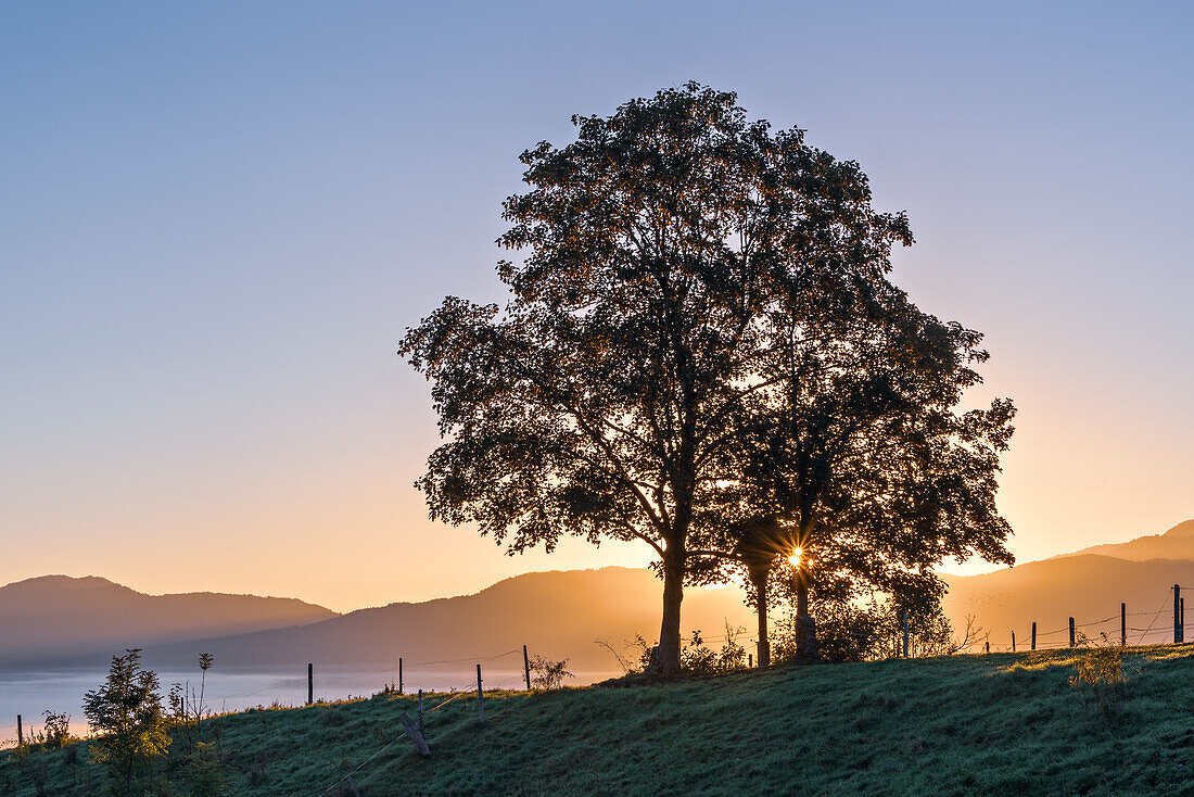 Morgenstimmung über dem Kochelmoos im September, Sindesldorf, Großweil, Bayern, Deutschland