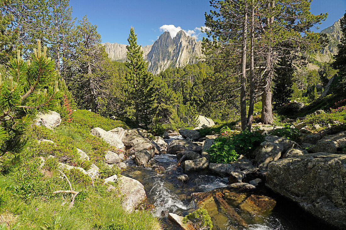  River in Aigüestortes i Estany de Sant Maurici National Park, Catalonia, Spain, Europe 