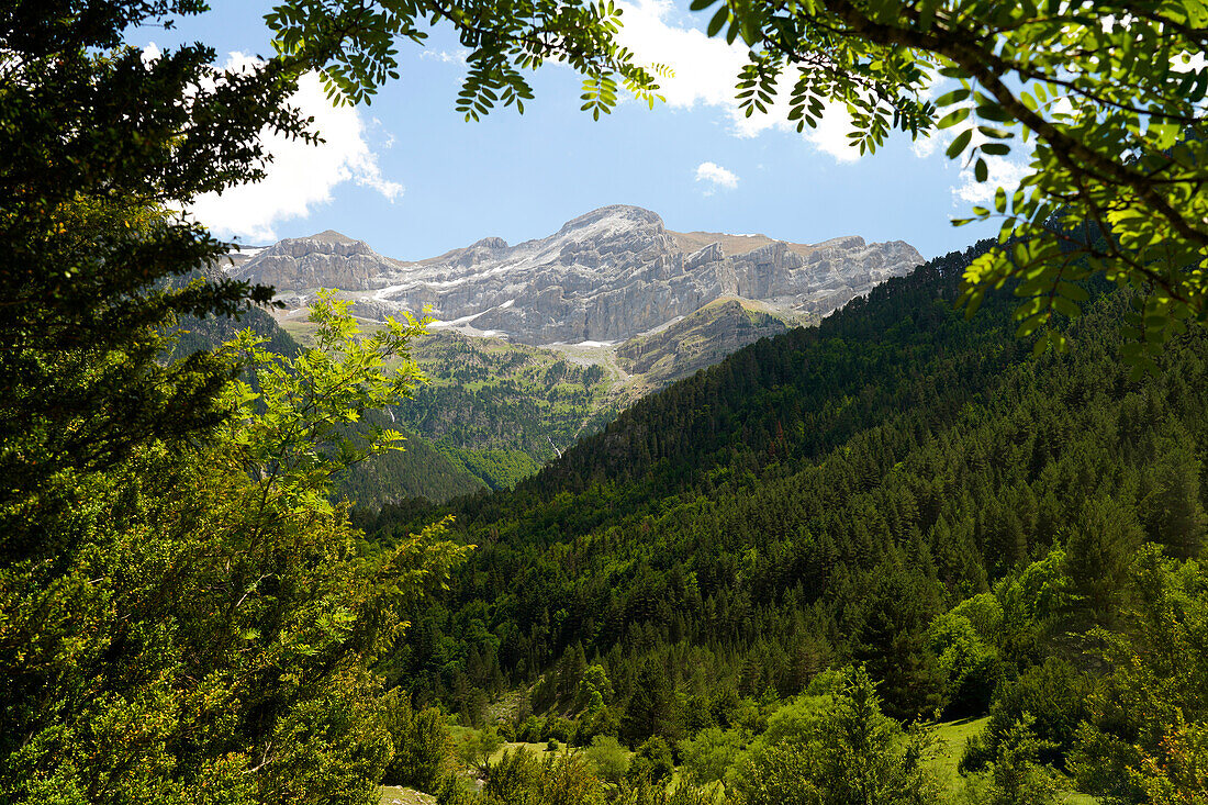 Gebirgslandschaft im Bujaruelo-Tal oder Valle de Bujaruelo bei Torla-Ordesa, Spanien, Europa