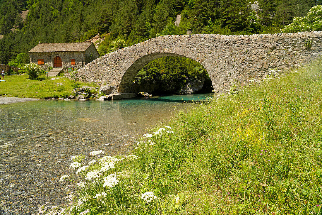  The Romanesque bridge Puente Románico de San Nicolás de Bujaruelo over the Ara River in the Bujaruelo Valley or Valle de Bujaruelo and the church Iglesia de San Nicolás de Bujaruelo near Torla-Ordesa, Spain, Europe 