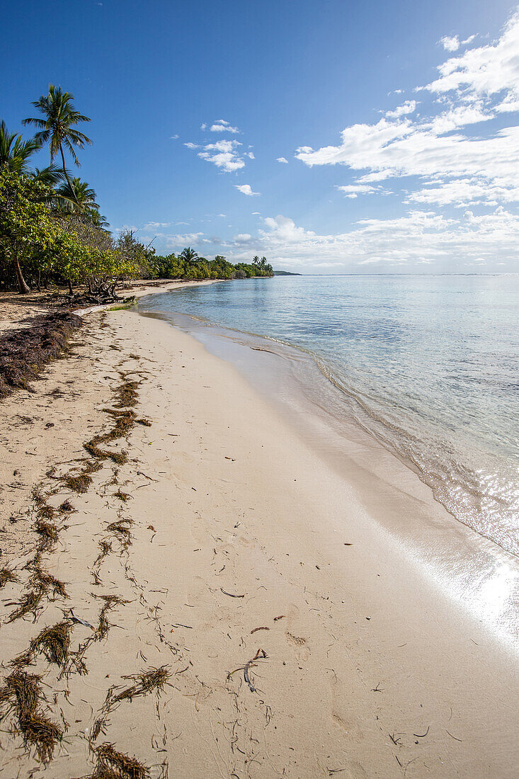  Plage de Bois Jolan, sunrise on the beach, Sainte-Anne, Guadeloupe, French Antilles, France, Europe 