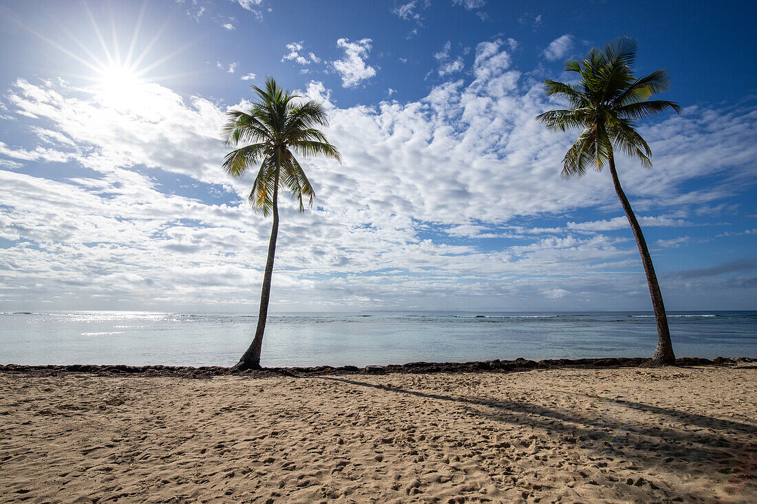  Plage de Bois Jolan, sunrise on the beach, Sainte-Anne, Guadeloupe, French Antilles, France, Europe 