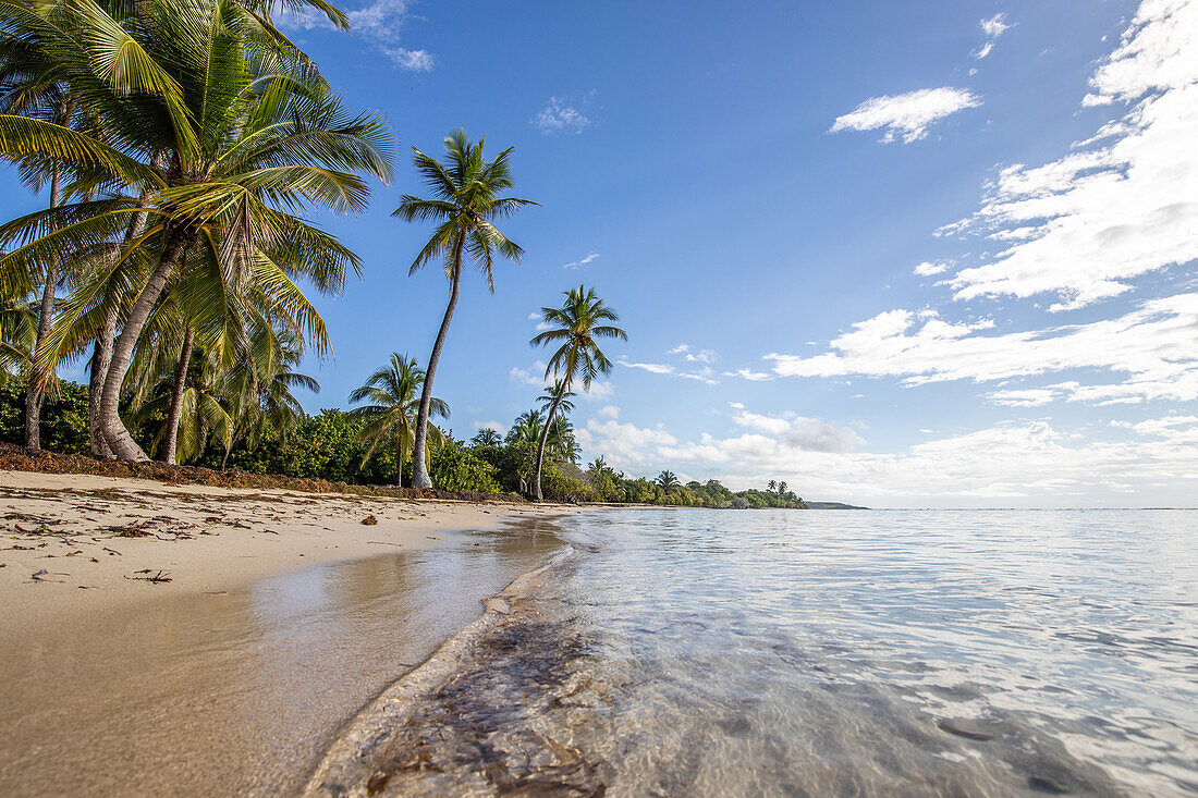  Plage de Bois Jolan, sunrise on the beach, Sainte-Anne, Guadeloupe, French Antilles, France, Europe 