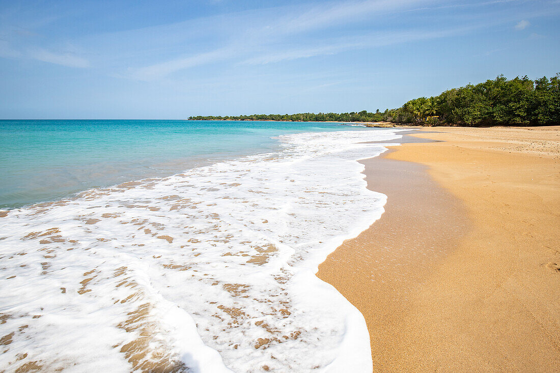  Plage de Clugny, dream beach in Sainte Rose, Guadelupe French Antilles, France, Europe 