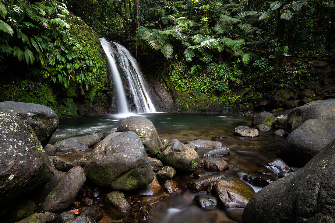  Ecrevisses waterfalls, jungle around the village of Vernou, Guadelupe French Antilles, France, Europe 