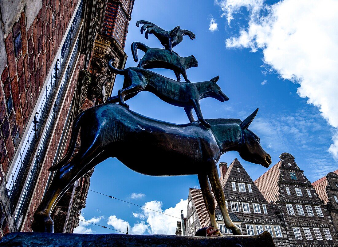  Bremen Town Musicians, bronze statue by Gerhard Marcks at the town hall of Bremen, town houses in the background, Hanseatic City of Bremen, Germany 