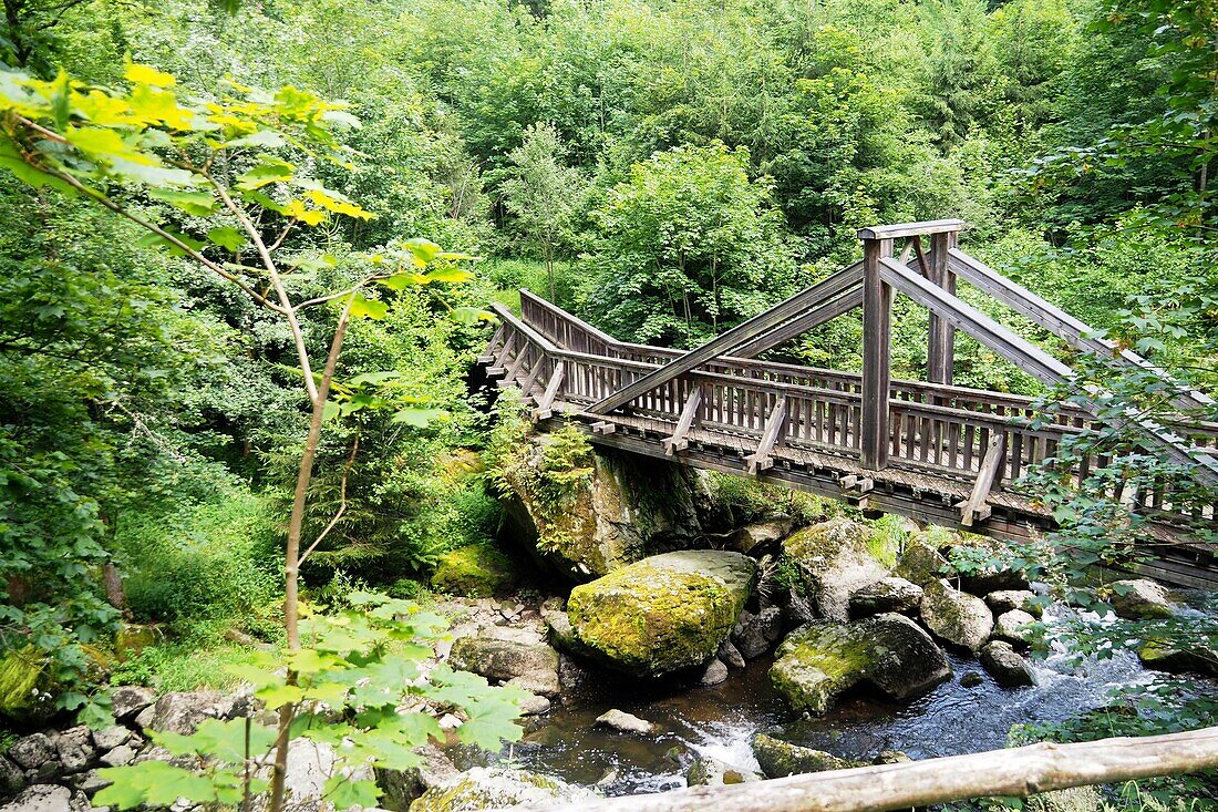  in the Höllental near Lichtenberg, Franconian Forest, Upper Franconia, Bavaria, Germany 