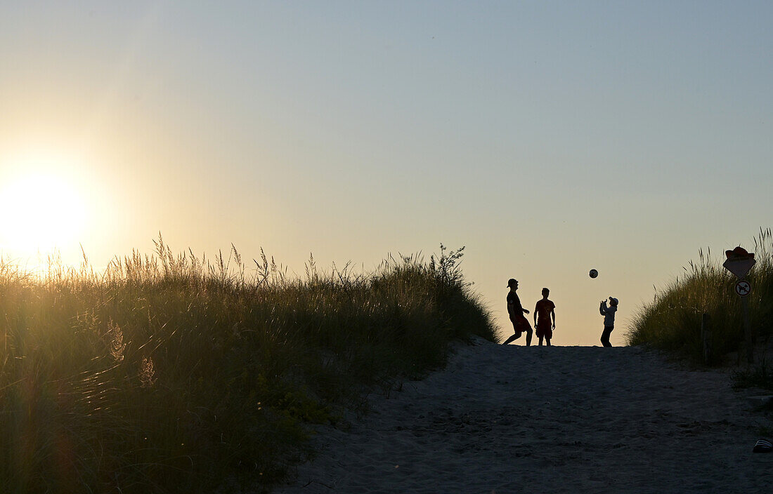  on a sand dune on the beach at the Baltic Sea resort of Ahrenshoop, Fischland-Darß, Mecklenburg-Vorpommern, Germany 