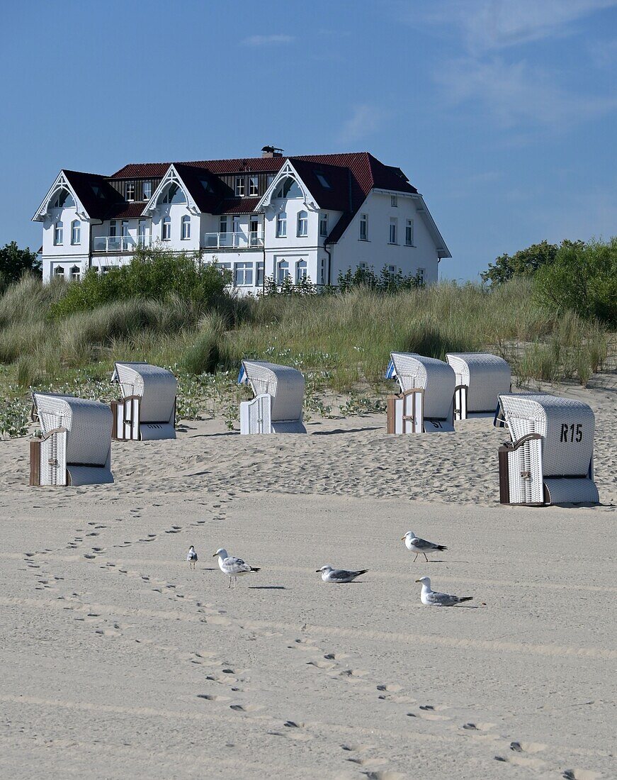 Strand von Albeck, Insel Usedom, Mecklenburg-Vorpommern, Deutschland