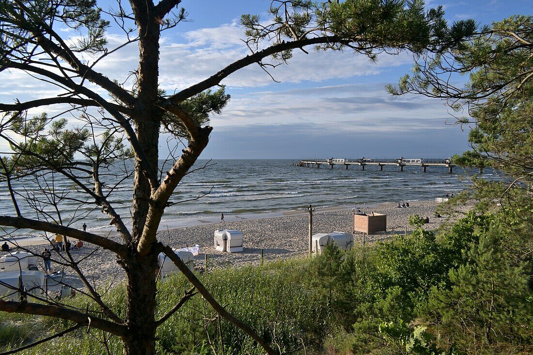  on the beach of Misdroy (Miedzyzdroje) at the Wolinski National Park, Baltic coast, Poland 