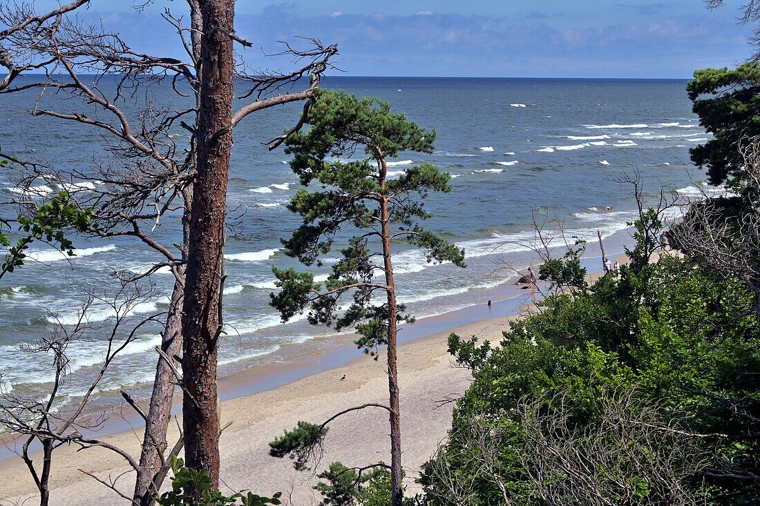  Beach at Wolinski National Park, Baltic coast, Poland 