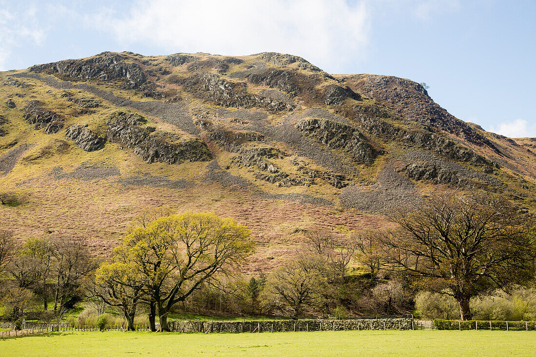  Hallin Fell, Howtown, Ullswater, Nationalpark Lake District, Cumbria, England, Großbritannien 