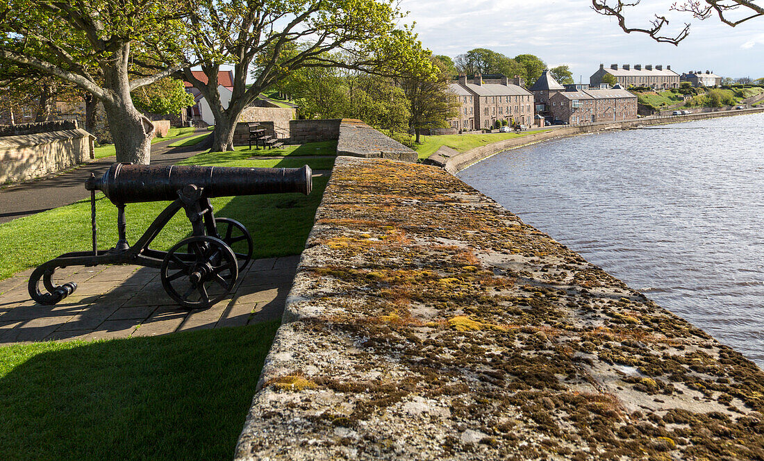  Befestigte Verteidigungsmauern mit Blick auf die Nordsee, Berwick-upon-Tweed, Northumberland, England, Großbritannien 