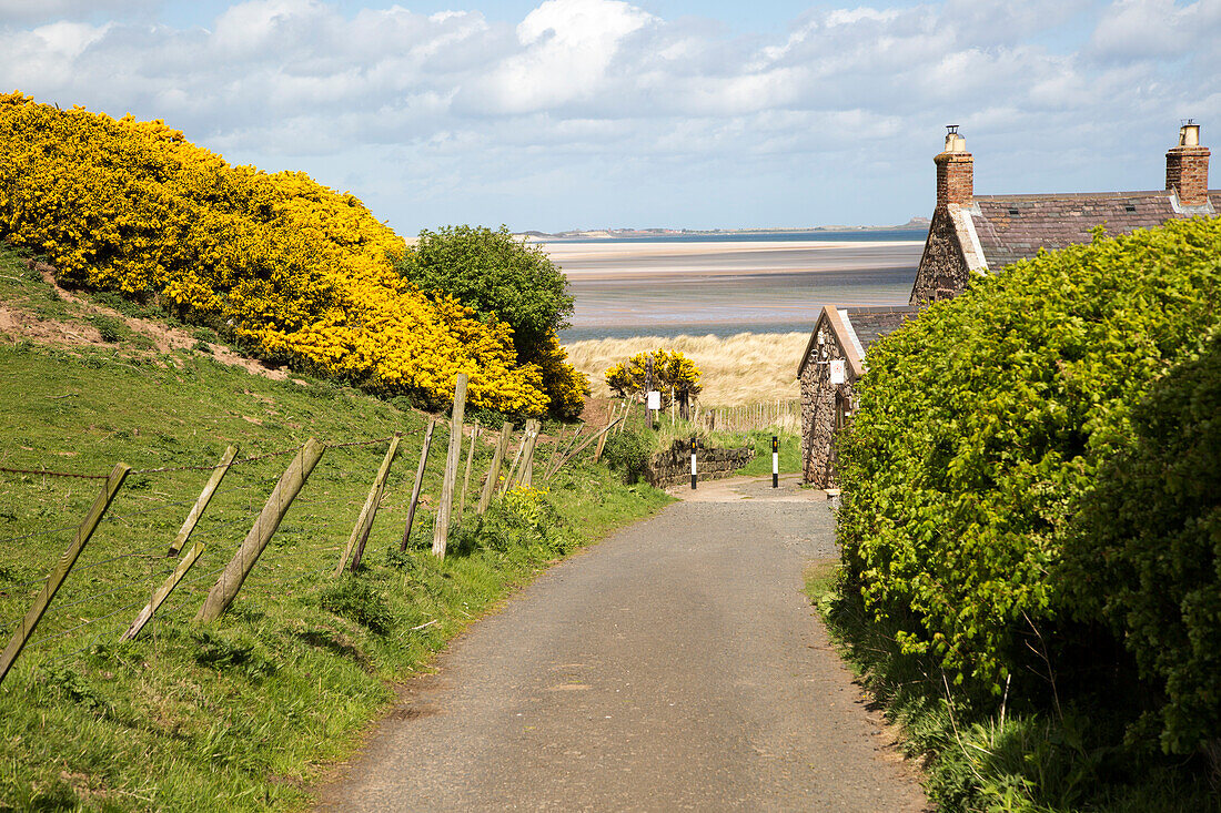 Coastal landscape at Budle Bay, Northumberland coast, England, UK