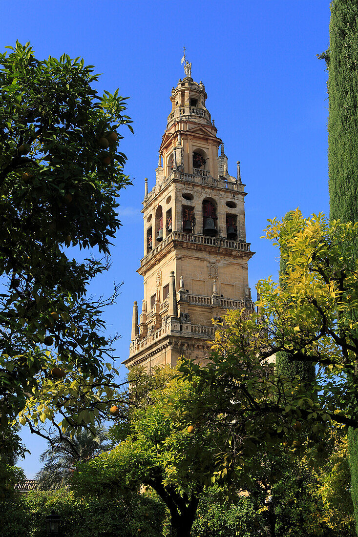 Cathedral belfry bell tower, Toree del Alminar, Cordoba, Spain