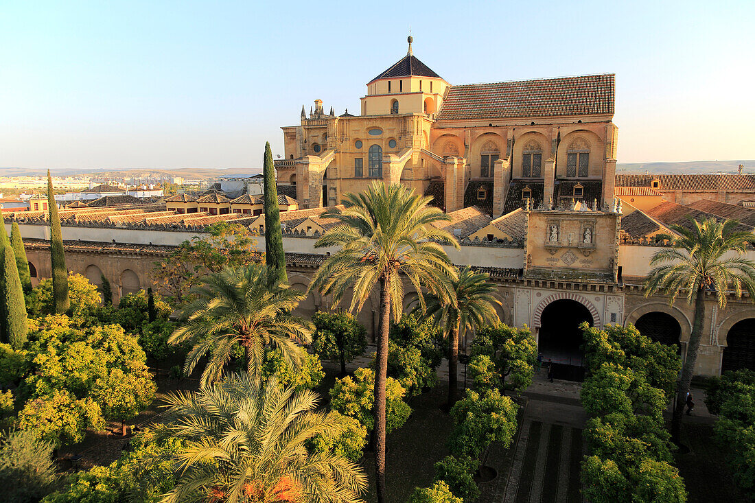  Erhöhte Ansicht der Großen Moschee, Mezquita-Kathedrale, ehemaliges Moscheengebäude im Zentrum von Córdoba, Spanien 