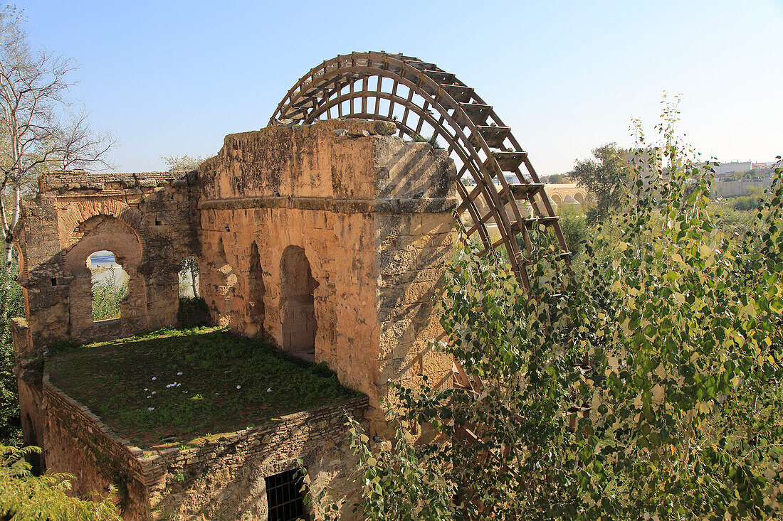 Historic Albolafia Moorish water-wheel on river Rio Guadalquivir, Cordoba, Spain