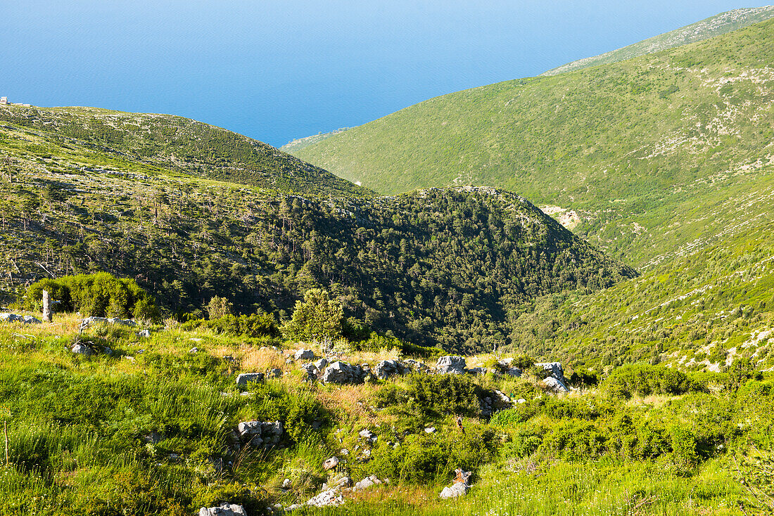 Llogara National Park, a national park centered on the Ceraunian Mountains along the Albanian Riviera in Southwestern Albania, Southeastern Europe