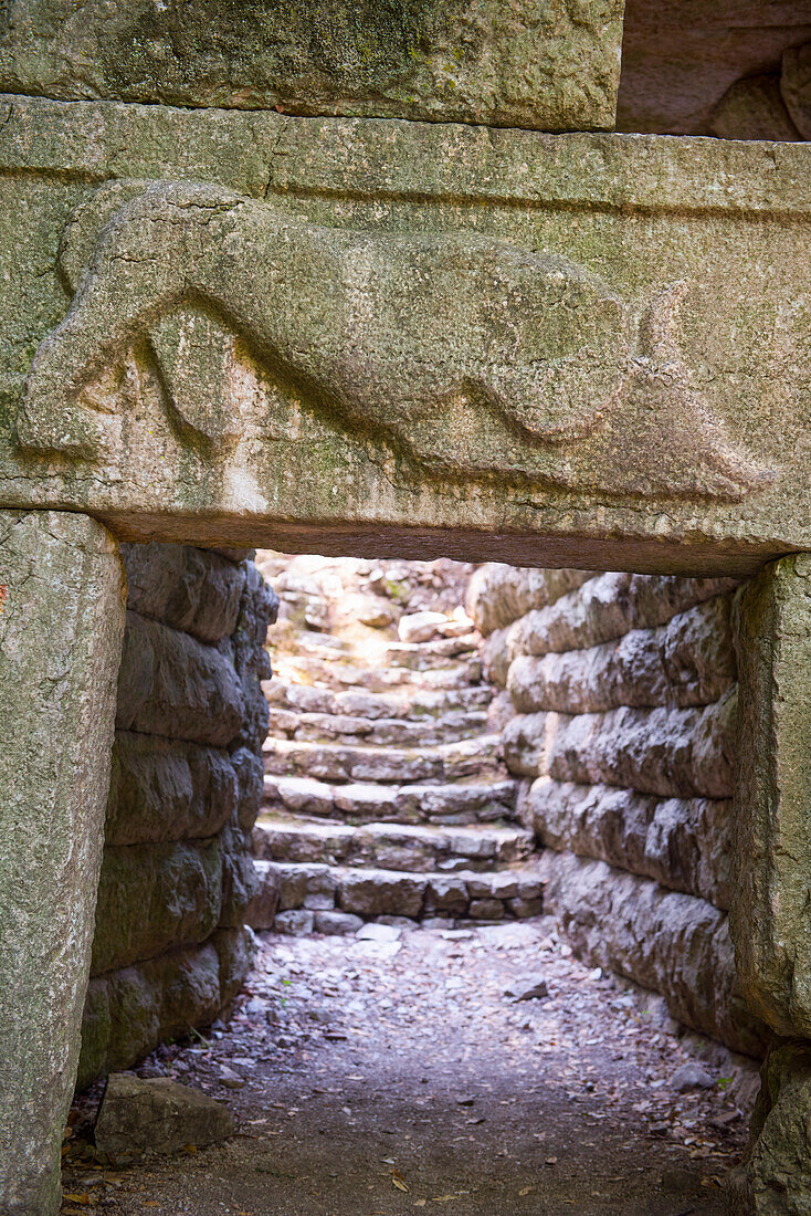 Lion’s Gate, showing a lion attacking a cattle engraved in stone, Archaeological site of Butrint, Butrint National Park, UNESCO World Heritage Site, near Saranda, on the Ionian coast, Albania, Southeastern Europe