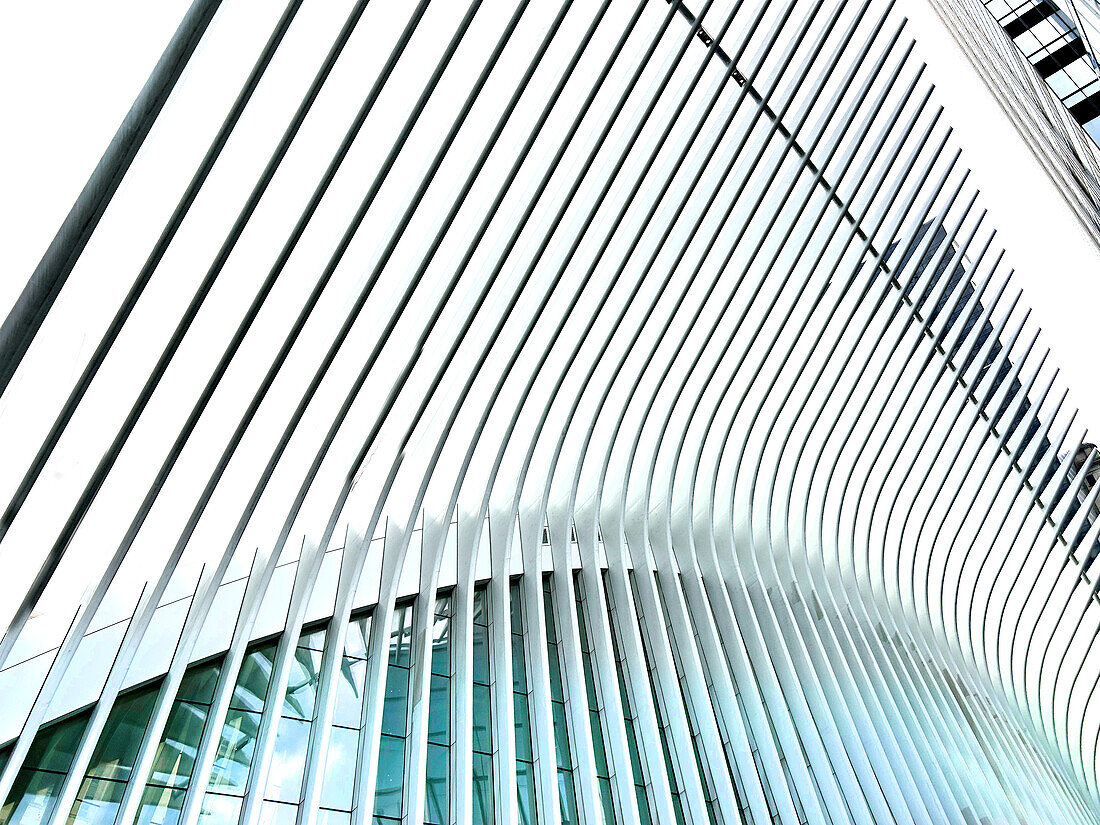  Oculus Verkehrsknotenpunkt, architektonisches Detail, Finanzviertel, New York City, New York, USA 