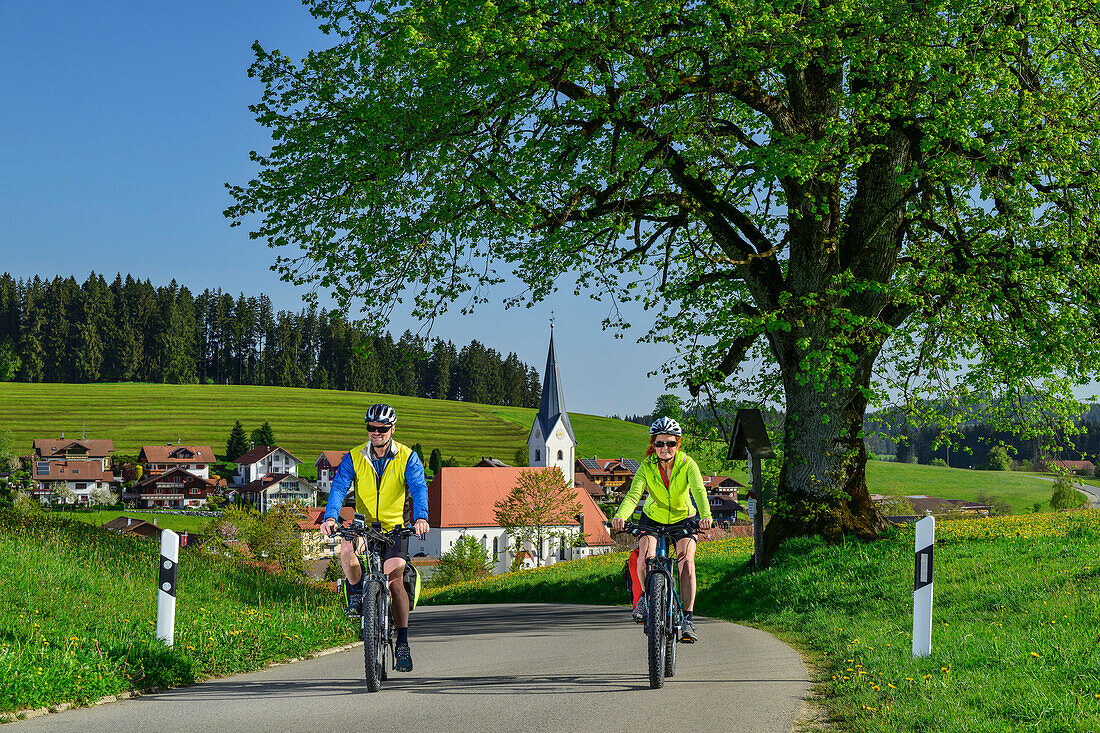  Man and woman cycling on the Lake Constance-Königssee cycle path with Stiefenhofen in the background, Allgäu, Swabia, Bavaria, Germany 