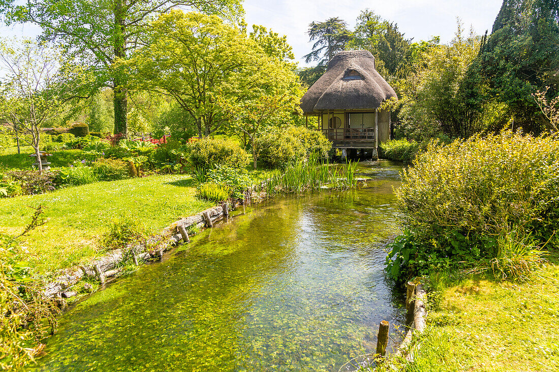 Chalk stream River Avon, Heale House and gardens, Middle Woodford, Salisbury, Wiltshire, England, UK