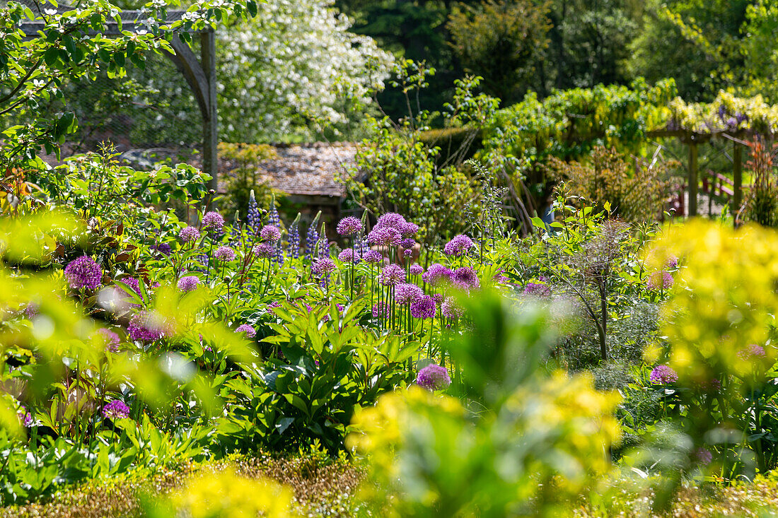 Heale House and gardens, Middle Woodford, Salisbury, Wiltshire, England, UK