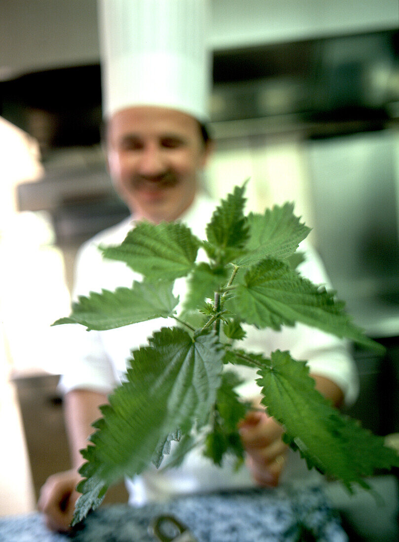  Cook with nettles, nettle 