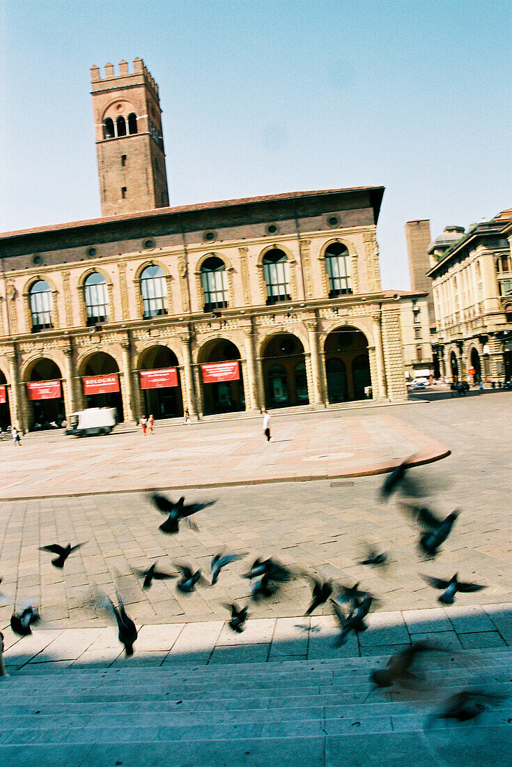 Altstadt von Bologna mit Tauben, Emilia Romagna, Italien