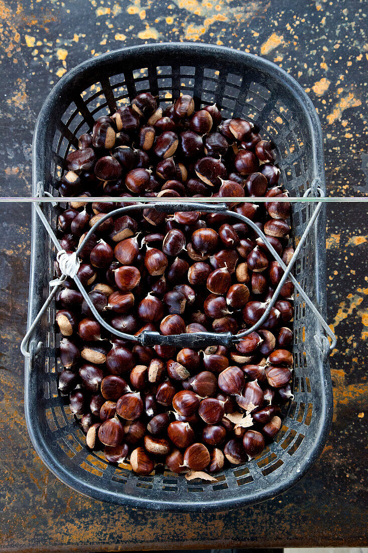  Basket with chestnuts 