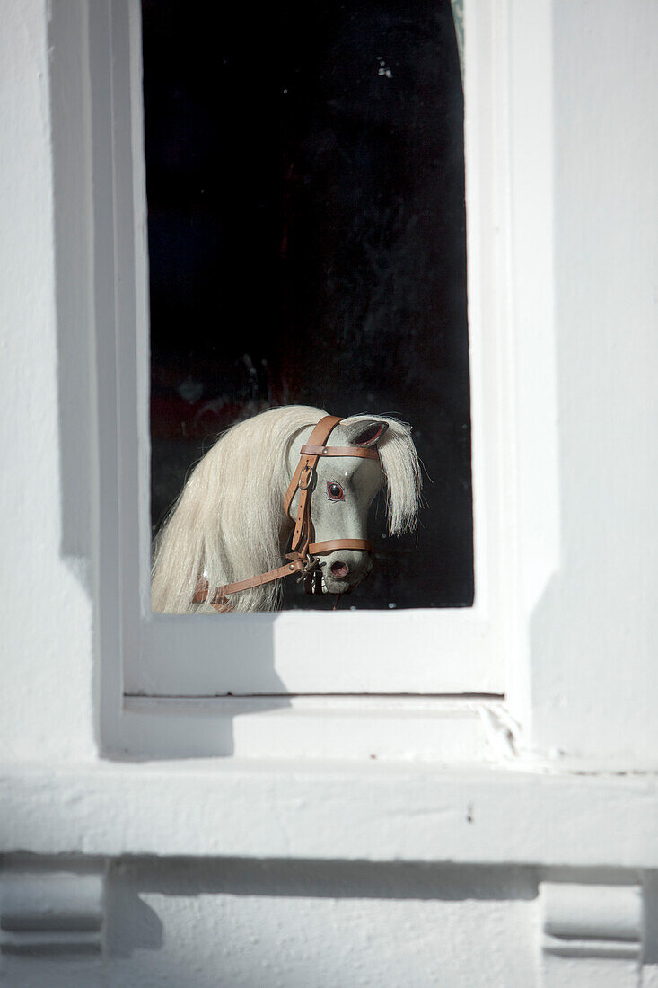 Pferdebüste in Fensterrahmen, Steckenpferd, England, Großbritannien