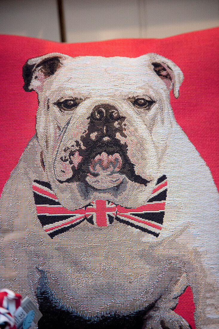 British Dogs, Symbol auf Kissen, England, Großbritannien