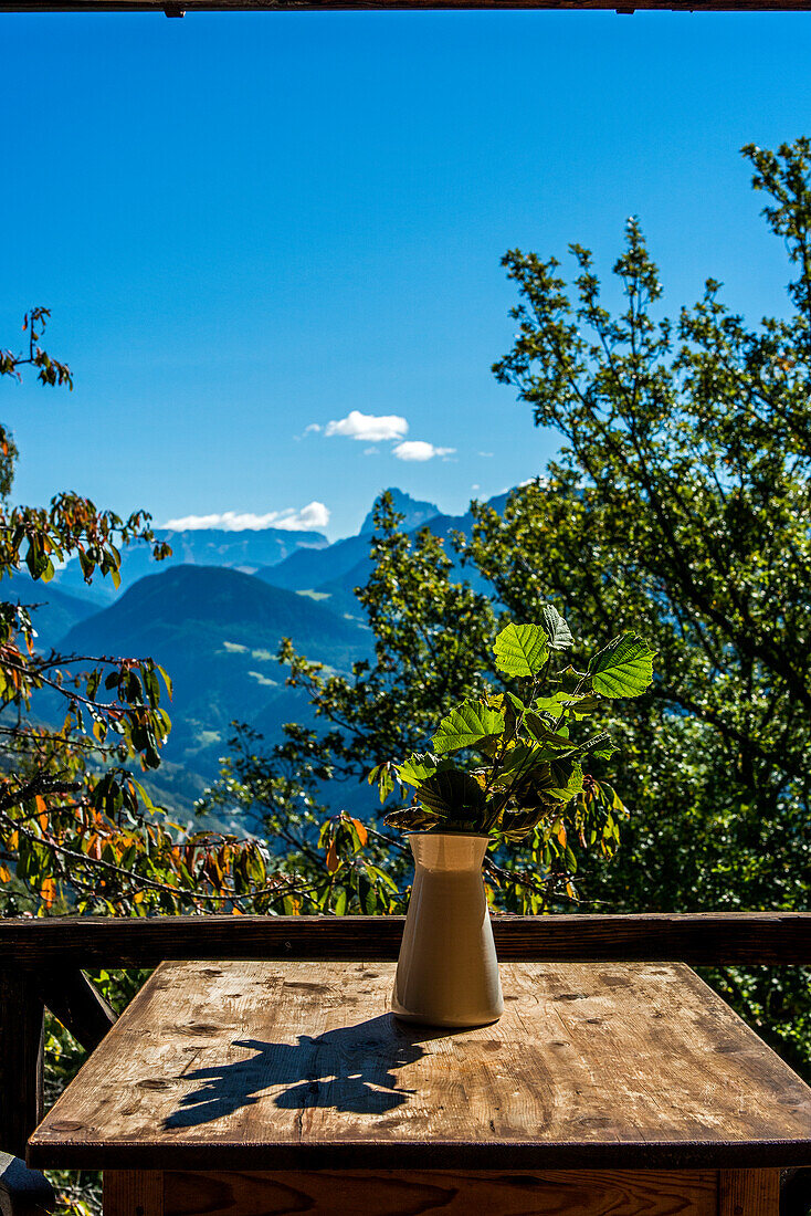  Landscape South Tyrol, mountains, meadows, flowers, peace, blue sky 