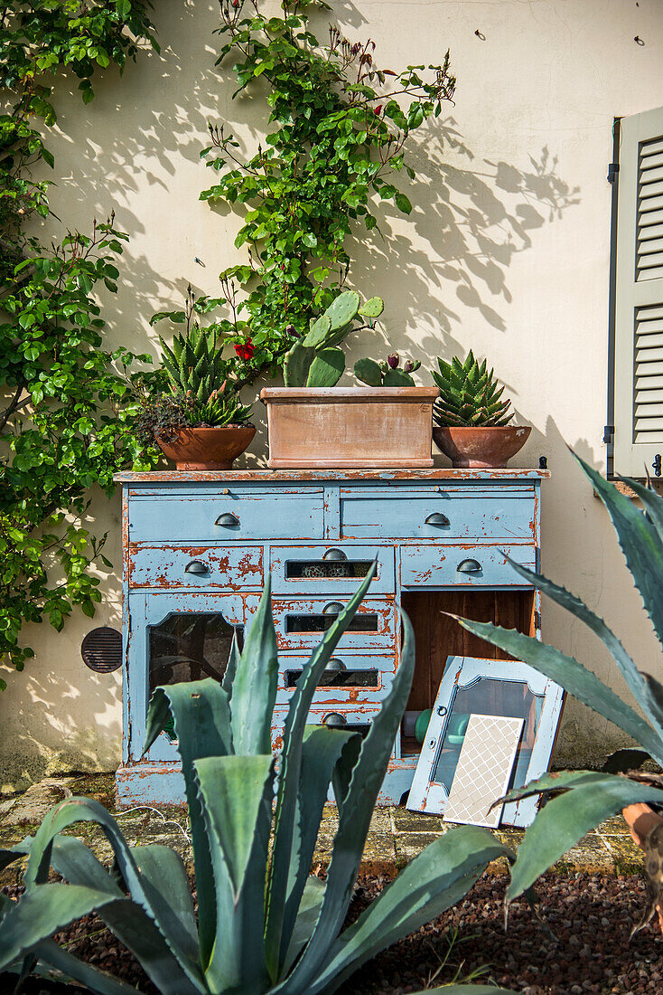 Vintage Kommode auf der Terrasse von einem Landhaus und Kakteen im Garten