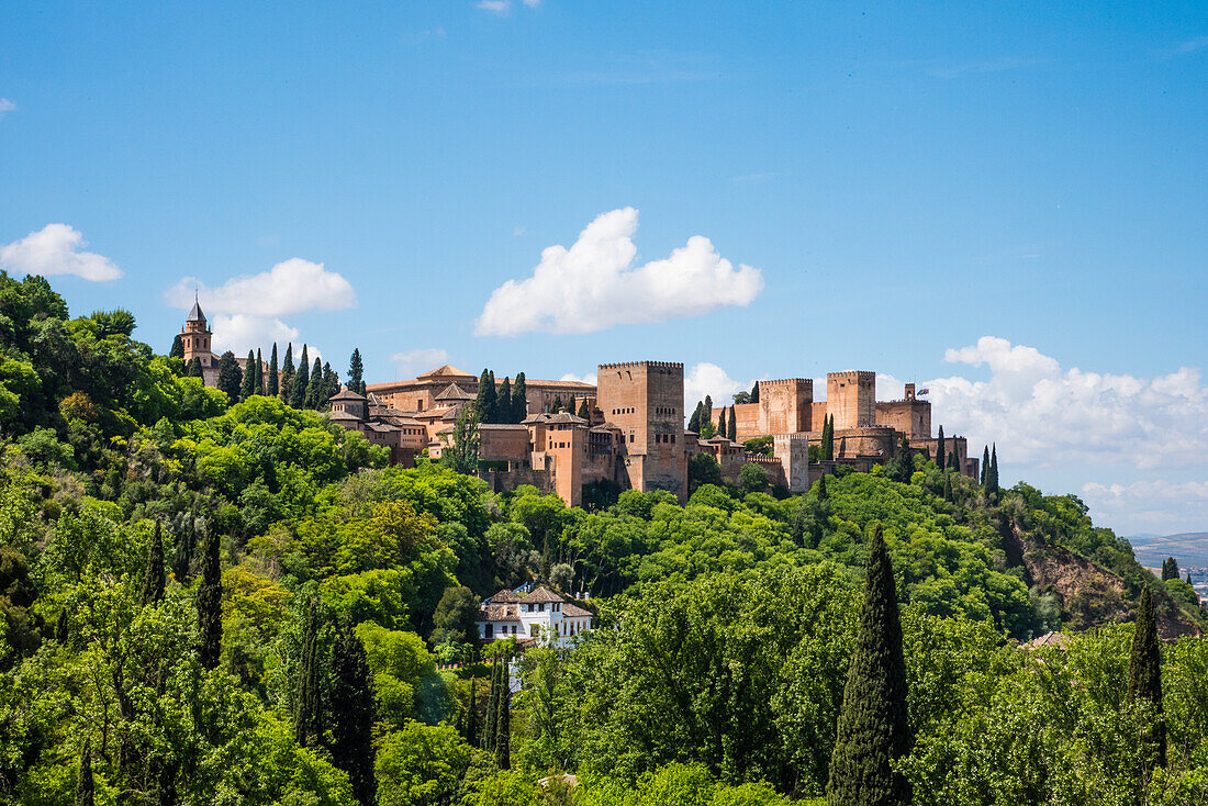 Blick vom Sacromonte Hügel auf die Burg Alhambra, Granada, Provinz Granada, Andalusien, Spanien