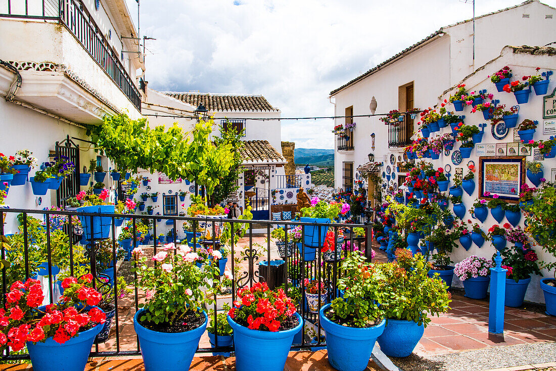 Hauswand mit Blumenschmuck, Weißes Dorf, am Stausee, im Olivengürtel, Iznajar, Provinz Cordoba, Andalusien, Spanien