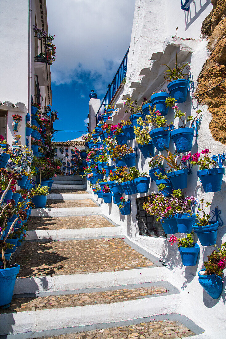 Hauswand mit Blumenschmuck, Weißes Dorf, am Stausee, im Olivengürtel, Iznajar, Provinz Cordoba, Andalusien, Spanien