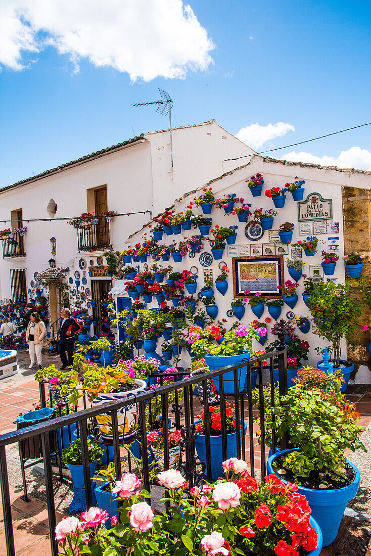 Hauswand mit Blumenschmuck, Weißes Dorf, am Stausee, im Olivengürtel, Iznajar, Provinz Cordoba, Andalusien, Spanien