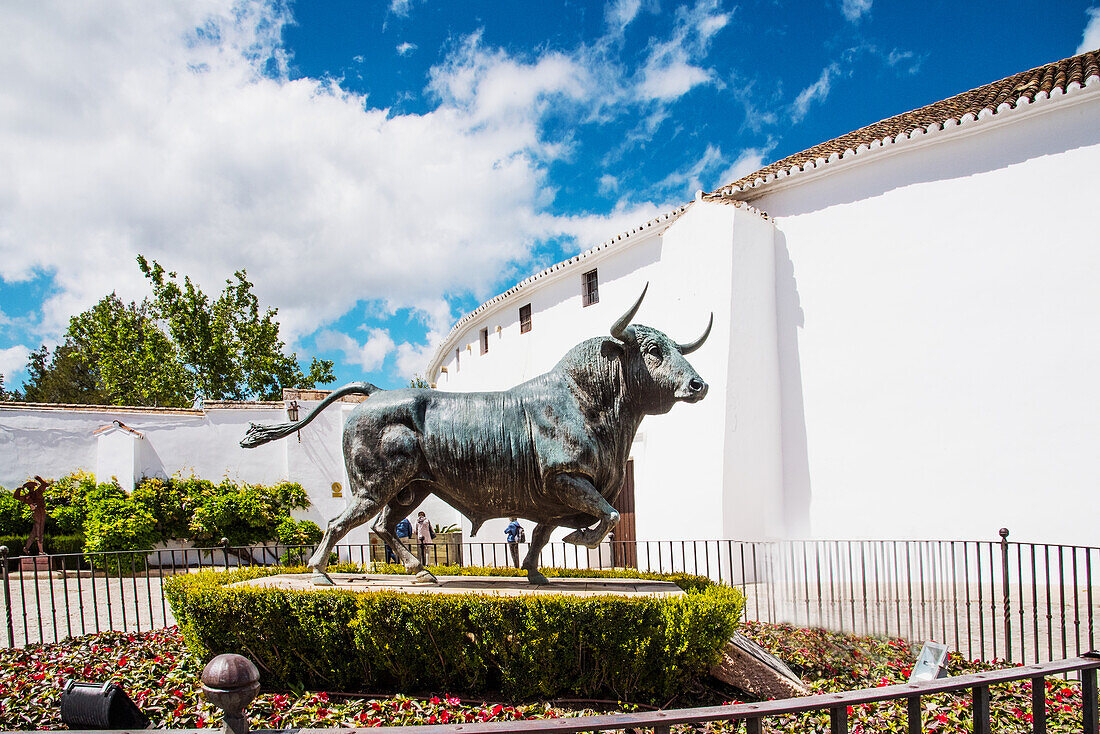  Ronda, the most famous white village, the famous bullring, where the bullfighting rules were established, Malaga province, Spain 