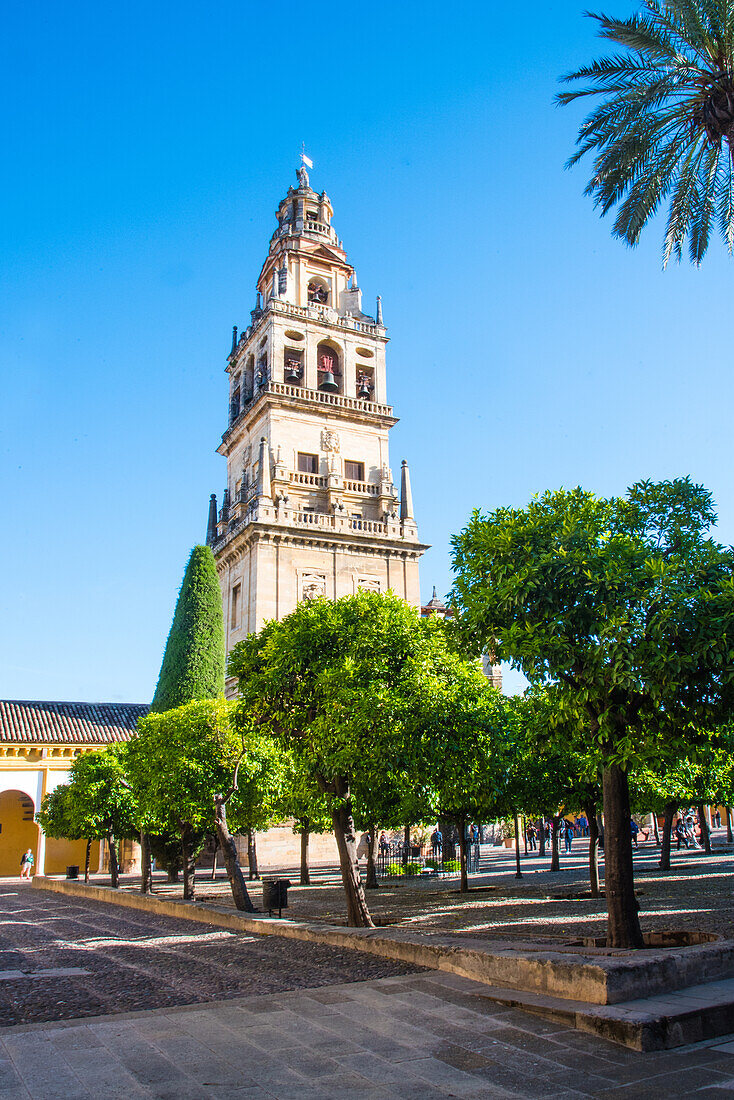 Glockenturm der Kathedrale, im Innenhof der Mezquita, im Jüdischen Viertel Juderia, Cordoba, Provinz Cordoba, Andalusien, Spanien