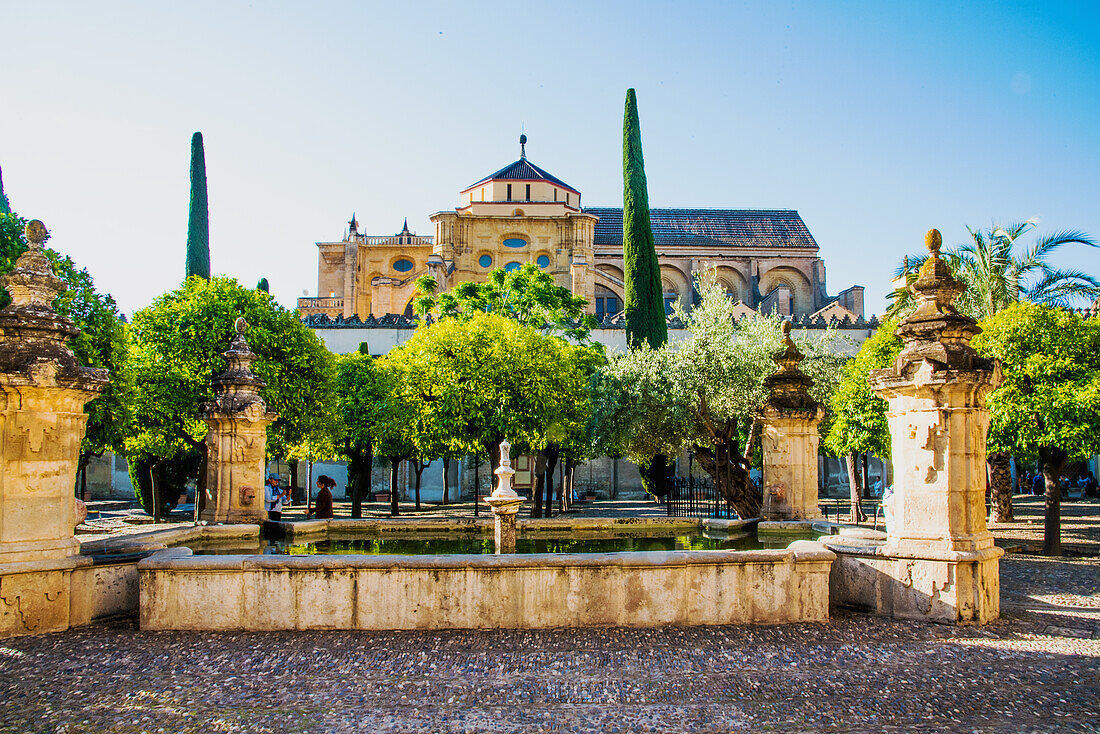  Cordoba, courtyard of the Mesquita with fountain, for the laundry of the Muslims, formerly, before entering it, province of Cordoba, Spain 