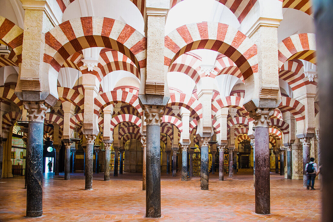 die Säulen der Gebetshalle, Kathedrale Mezquita, ehemalige Moschee, in der Juderia, Jüdisches Viertel, Cordoba, Provinz Cordoba, Andalusien, Spanien