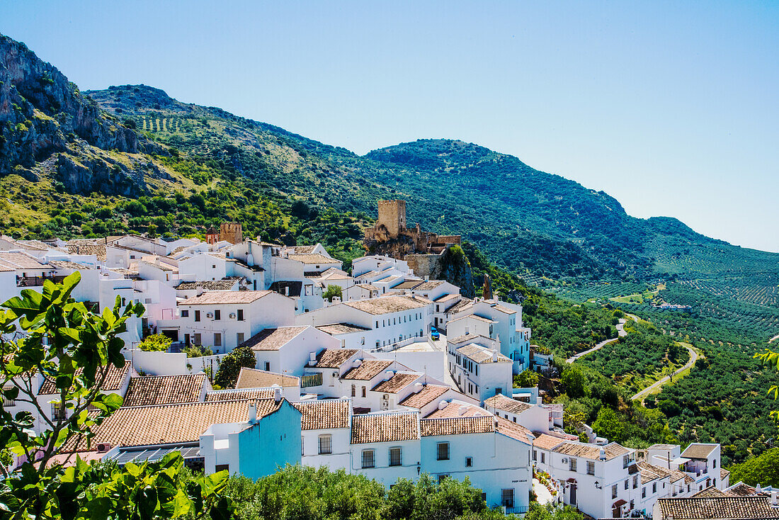 Weißes Dorf am Hang, mit Burg und Höhlen, im Olivengürtel, Zuheros, Provinz Cordoba, Andalusien, Spanien