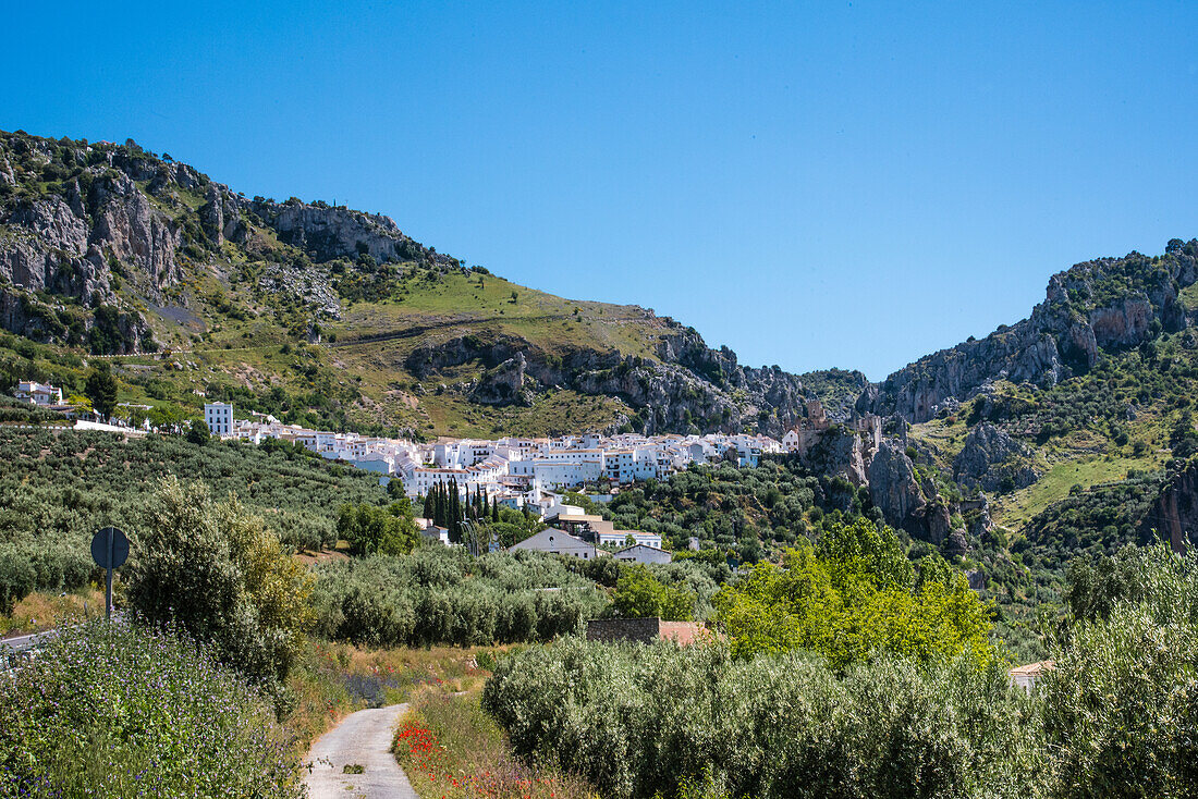  Zuheros, famous, much visited white village, in the mountain with caves, in the province of Cordoba, Spain 