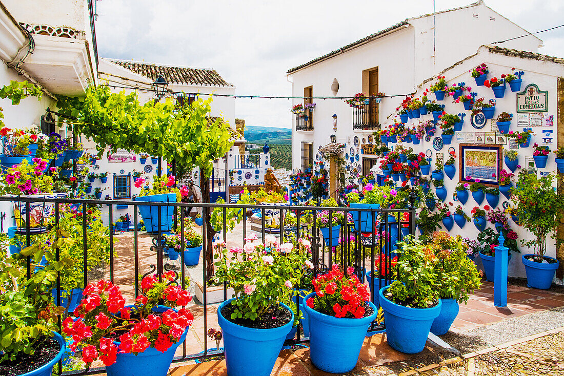 Typischer Blumenschmuck an den weissen Häusern im Weissen Dorf am Stausee, Iznajar, Provinz Cordoba, Andalusien, Spanien