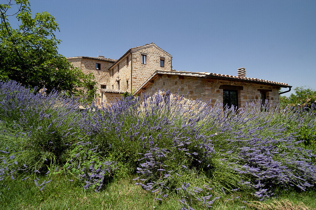  Agriturismo AGRIART in Gualdo  