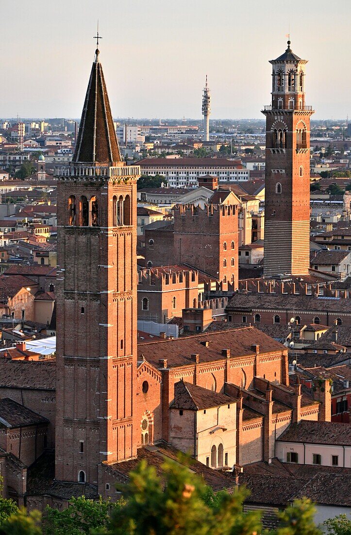 Blick vom Castel San Pietro auf Kirche Sant Anastasia und Turm Torre dei Lamberti, Verona, Veneto, Nord-Italien, Italien