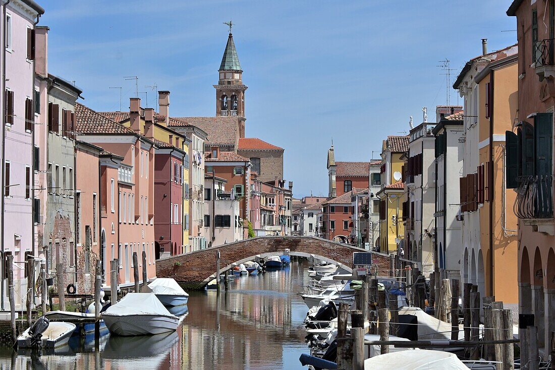 Boote im Kanal zwischen den Häuserzeilen, Chioggia, Lagune von Venedig, Veneto, Italien