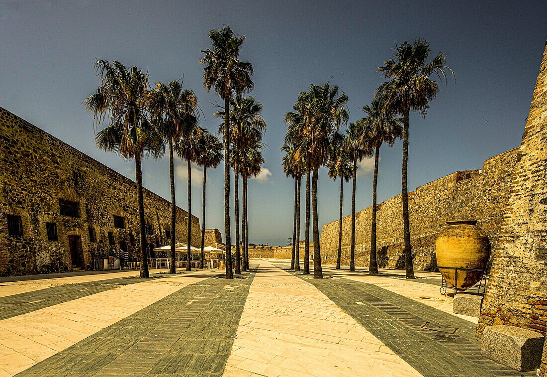  Courtyard of the Murallas Reales, the royal walls with gastronomy under palm trees, Ceuta, North African coast, Spain 