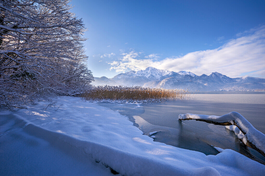 Wintermorgen am Kochelsee, Oberbayern, Bayern, Deutschland, Europa